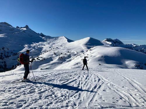 Apartamento Les Carroz D?arrach�s Ski & Mountain