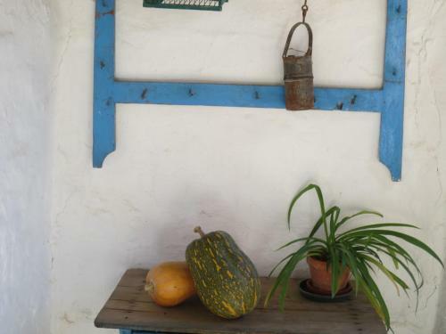 Apartamentos Tur�sticos El Losal