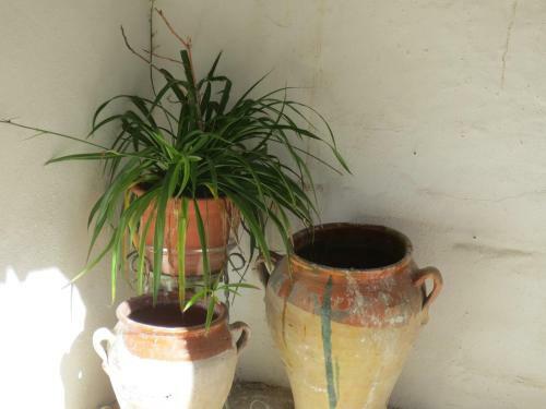Apartamentos Tur�sticos El Losal