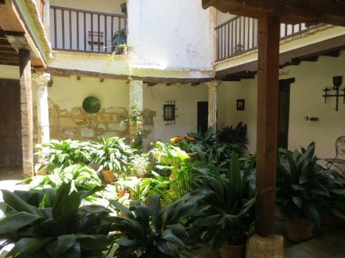 Apartamentos Tur�sticos El Losal