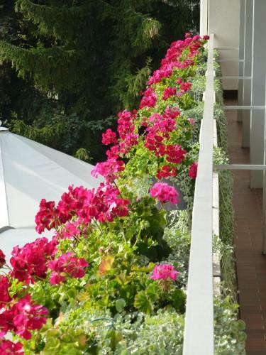 Hostal Hotel Zur Fl�h