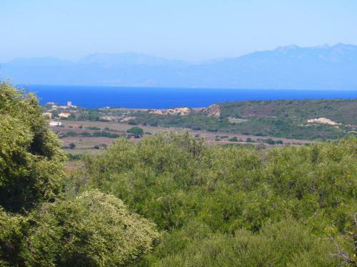 Agriturismo Gli Olivastri - Casa Ginestre