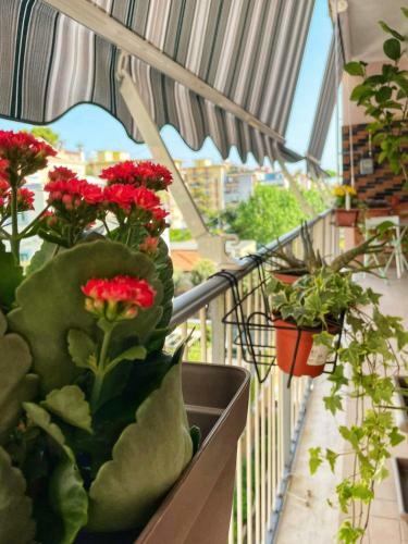 Bed & Breakfast Tufo Giallo Rooms