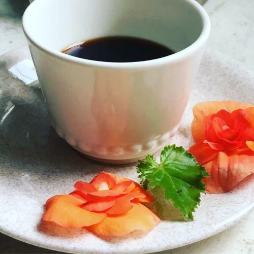Basisa Bed&breakfast