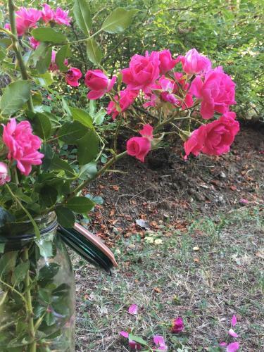 Basisa Bed&breakfast