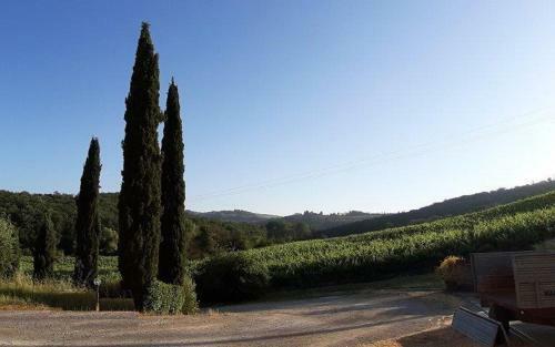 Agroturismo Agriturismo Casa Alla Madonna