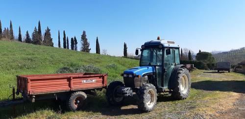 Agroturismo Agriturismo Casa Alla Madonna