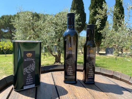Agroturismo Tenuta Sovestro