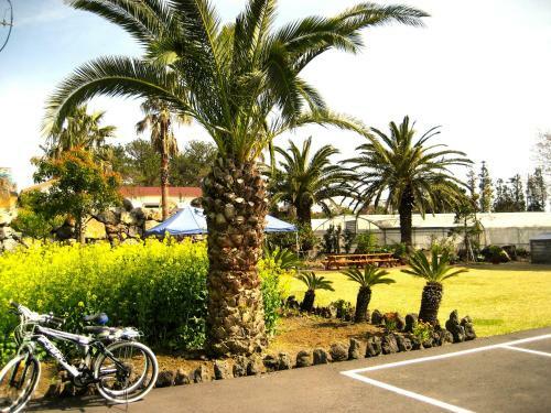 Hotel Jeju Yilin Pension