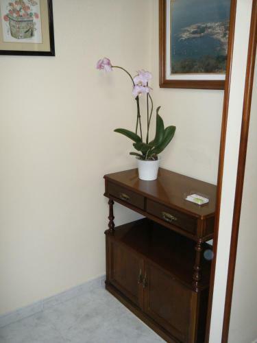 Hostal As Vi�as