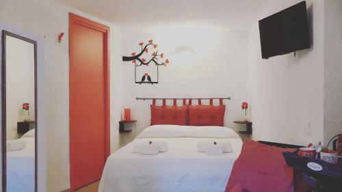 Hostal Perla Del Borgo Bed And Breakfast
