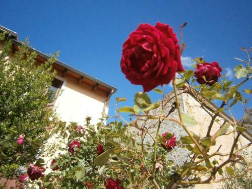 B&B S'arrosa Antiga