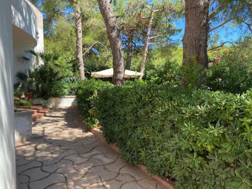 Home Villa