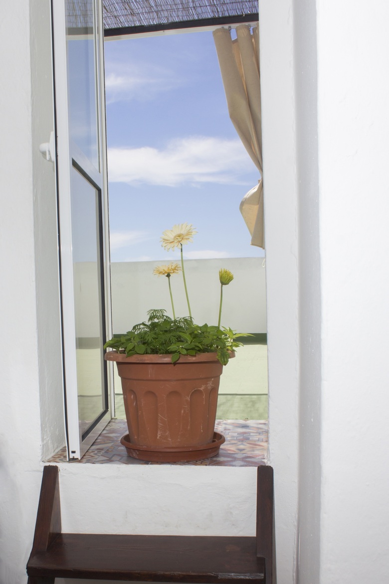 Apartamentos Calypso