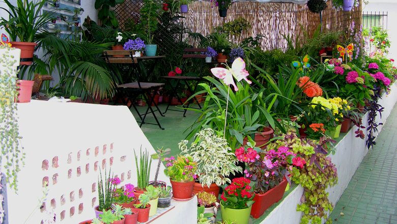Apartamentos Calypso