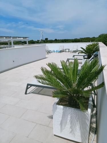 Residence Valentina - Apartment Laura Int 9