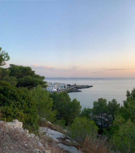 Appartamento 150m Dal Mare A Santa Maria Al Bagno