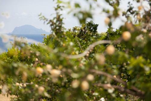 Bed & Breakfast Note Di Salina
