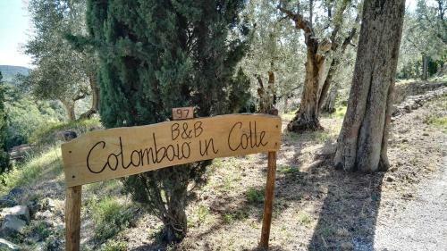 Bed & Breakfast Colombaio In Colle
