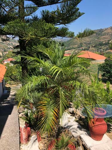 Apartamento Villa Giglio