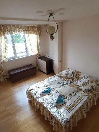 Apartment Marasha