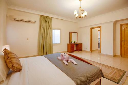 Elegant Bright & Cozy Apartment Near Downtown Mall