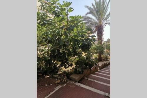 Apartamento Appartamento Al Centro Della Provincia Di Trapani