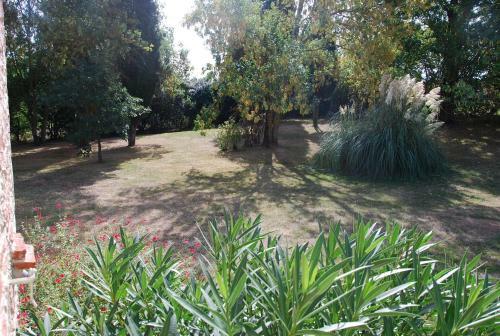 Bed & Breakfast Bordeneuve Spa Et Bien-�tre