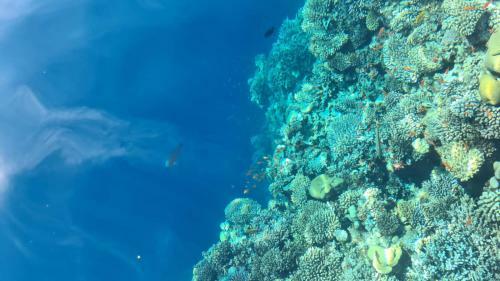 New Dahab Bay Hotel