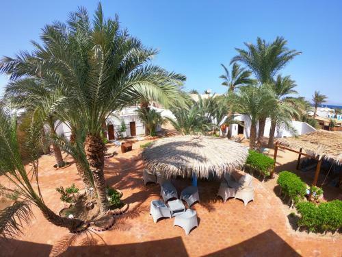 Hotel ?miramar Camp Dahab??