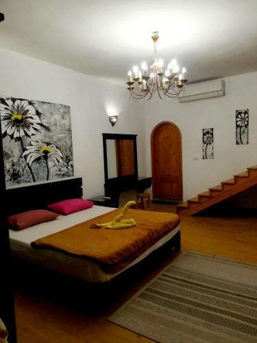 Hostal Manta House