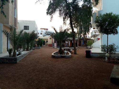 Hotel Oasis Fighting Kangaroo