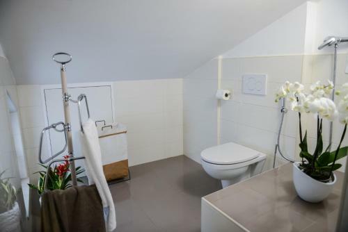 B&B Sant'erasmo