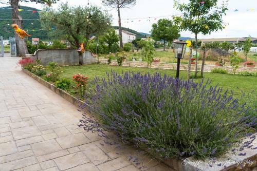 Bed & Breakfast L'antico Mercato