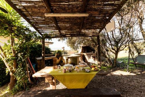B&B Ottoulivi