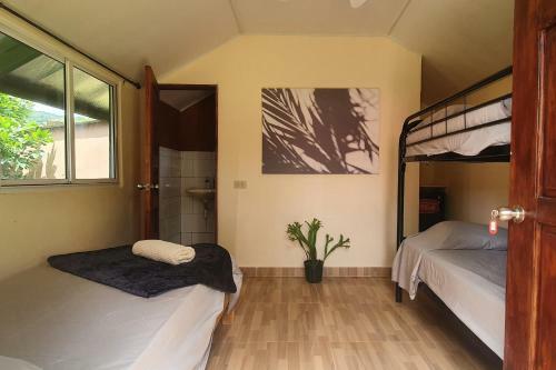 Albergue Los Pinos De Torio