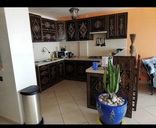 Taghazout Bay Apartment