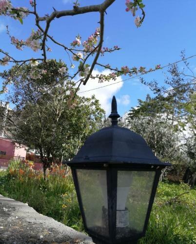 Bed & Breakfast Albero Della Musica