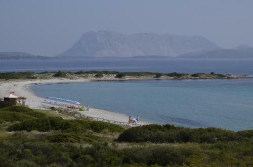 Le Villette Di San Teodoro
