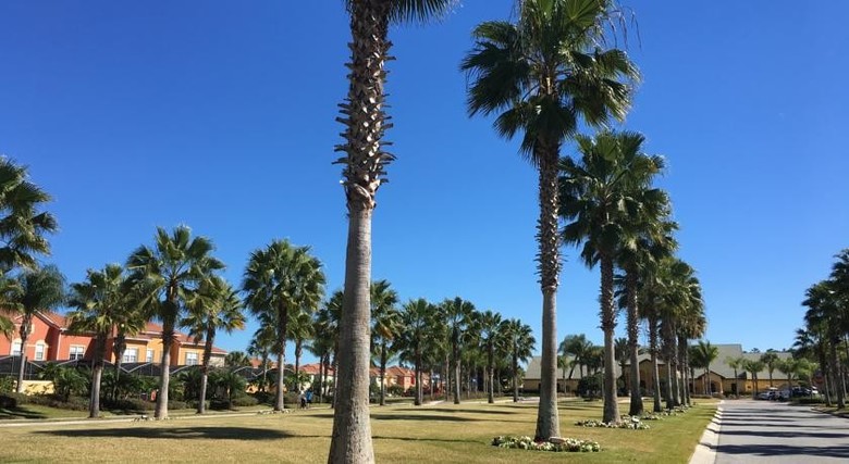 Hotel Dws Vacation Villas - Kissimmee