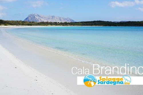 [san Teodoro] Garden&netflix A Due Passi Dal Mare