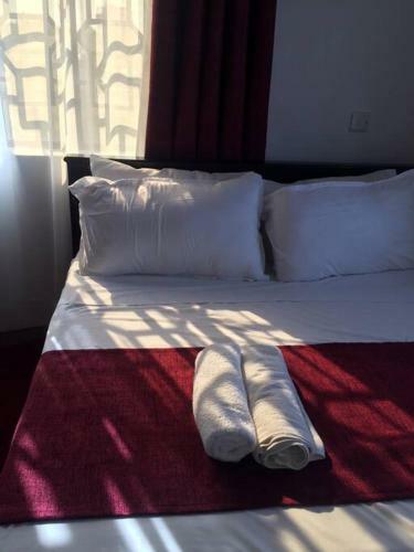 Apartamento Pacho Homestay 2