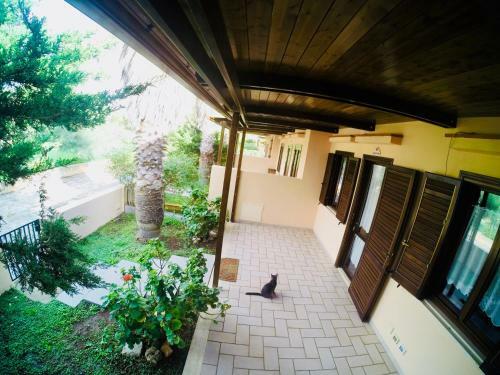 Apartamento Casetta C