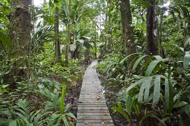 Tortuga Lodge & Gardens