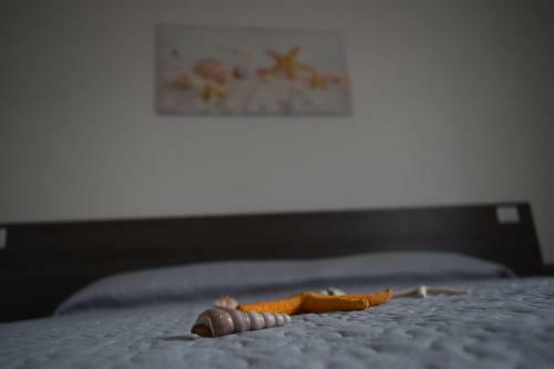Apartamento Appartamenti Acquachiara