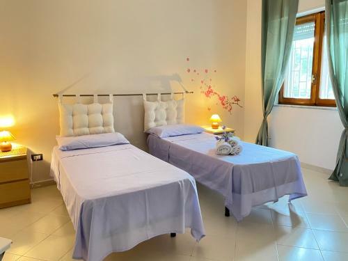 B&B Asia Apartment