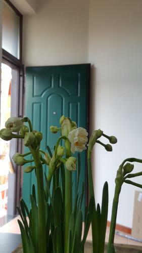 Apartamento Il Giardino Sul Corso