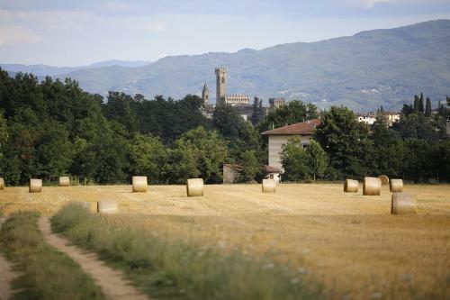 Villa Liberty Mugello