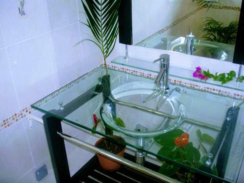 Villa Arbre Du Voyageur, 4 �toiles Et 4 Cl�vacances