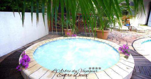 Villa Arbre Du Voyageur, 4 �toiles Et 4 Cl�vacances